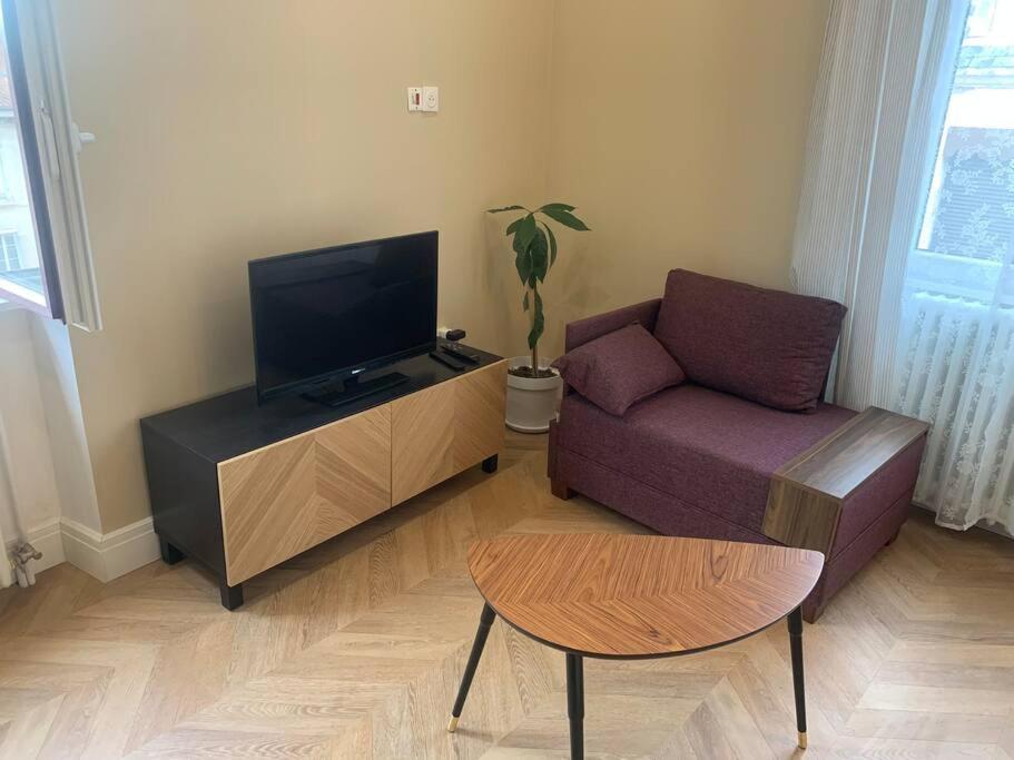 Appartement Centre Ville Historique - Le Modene 维也纳 外观 照片